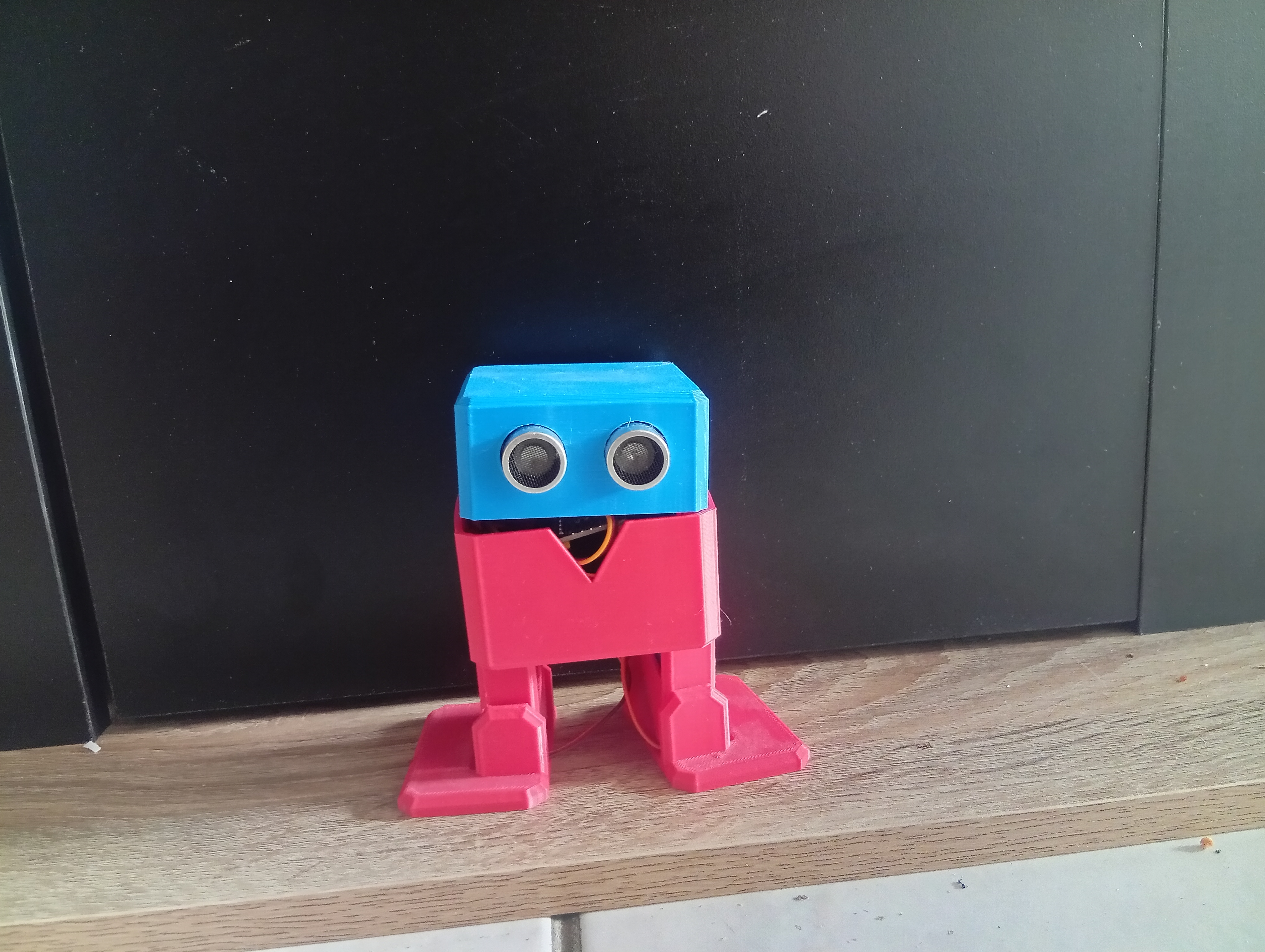 Personal Robots